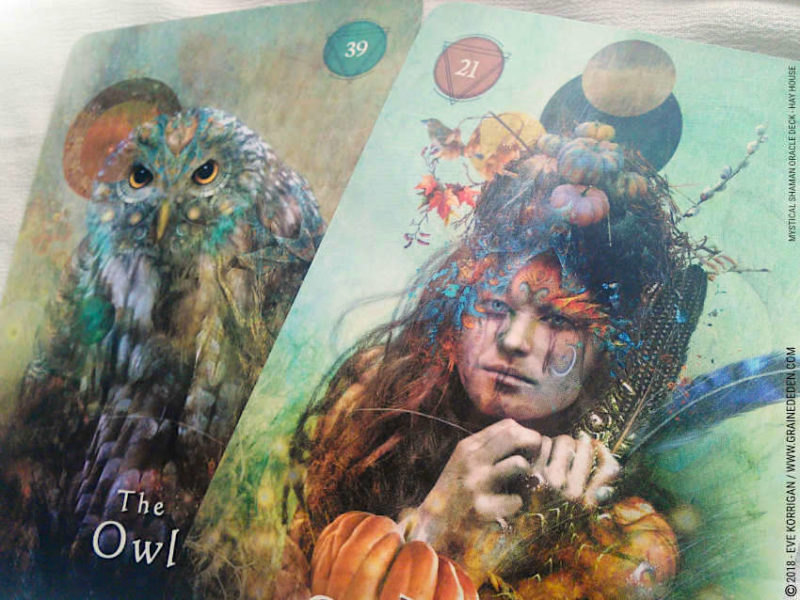 Mystical Shaman Oracle Deck de Colette Baron-Reid, Alberto Villoldo, Marcela Lobos et Jena DellaGrottaglia - Graine d'Eden Développement personnel, spiritualité, tarots et oracles divinatoires, Bibliothèques des Oracles, avis, présentation, review , revue