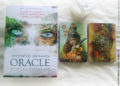 Mystical Shaman Oracle Deck de Colette Baron-Reid, Alberto Villoldo, Marcela Lobos et Jena DellaGrottaglia - Graine d'Eden Développement personnel, spiritualité, tarots et oracles divinatoires, Bibliothèques des Oracles, avis, présentation, review , revue