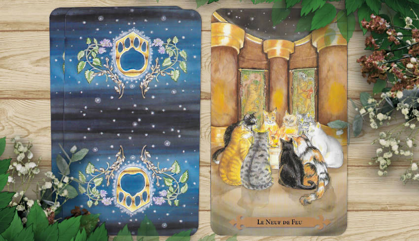 14 au 20 mai 2018 - Votre guidance de la semaine avec le Tarot des Chats Mystiques - Graine d'Eden Développement personnel, spiritualité, tarots et oracles divinatoires, Bibliothèques des Oracles, avis, présentation, review tarot oracle , revue tarot oracle