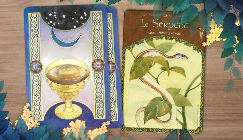 21 au 27 mai 2018 - Votre guidance de la semaine avec Les Cartes Oracle La Sagesse d'Avalon de Colette Baron-Reid - Graine d'Eden Développement personnel, spiritualité, tarots et oracles divinatoires, Bibliothèques des Oracles, avis, présentation, review tarot oracle , revue tarot oracle