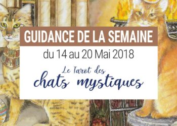 14 au 20 mai 2018 - Votre guidance de la semaine avec le Tarot des Chats Mystiques - Graine d'Eden Développement personnel, spiritualité, tarots et oracles divinatoires, Bibliothèques des Oracles, avis, présentation, review tarot oracle , revue tarot oracle