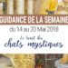 14 au 20 mai 2018 - Votre guidance de la semaine avec le Tarot des Chats Mystiques - Graine d'Eden Développement personnel, spiritualité, tarots et oracles divinatoires, Bibliothèques des Oracles, avis, présentation, review tarot oracle , revue tarot oracle