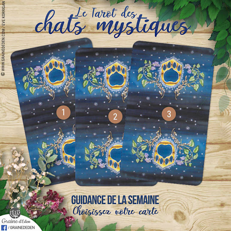 14 au 20 mai 2018 - Votre guidance de la semaine avec le Tarot des Chats Mystiques - Graine d'Eden Développement personnel, spiritualité, tarots et oracles divinatoires, Bibliothèques des Oracles, avis, présentation, review tarot oracle , revue tarot oracle