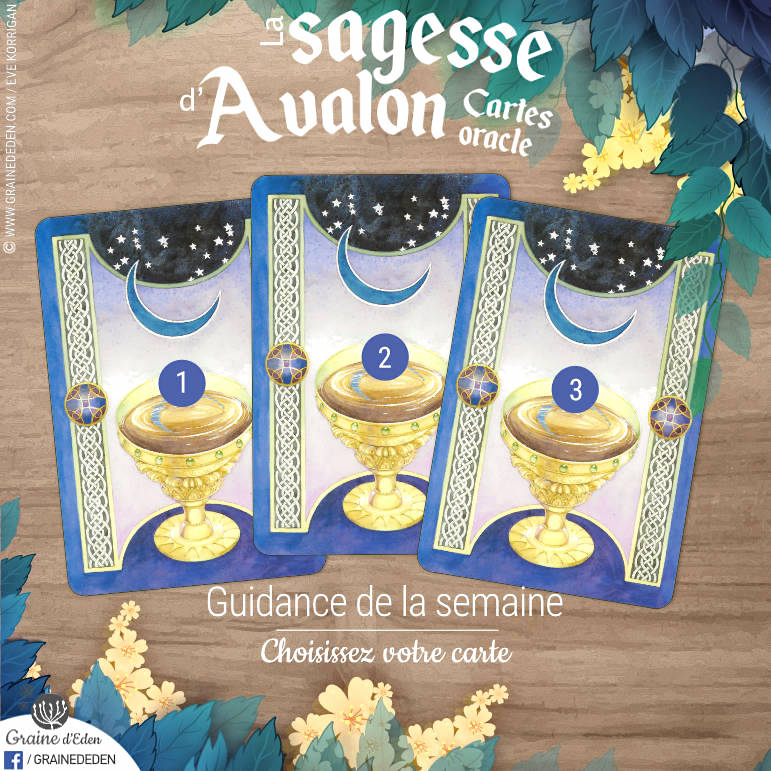 21 au 27 mai 2018 - Votre guidance de la semaine avec Les Cartes Oracle La Sagesse d'Avalon de Colette Baron-Reid - Graine d'Eden Développement personnel, spiritualité, tarots et oracles divinatoires, Bibliothèques des Oracles, avis, présentation, review tarot oracle , revue tarot oracle