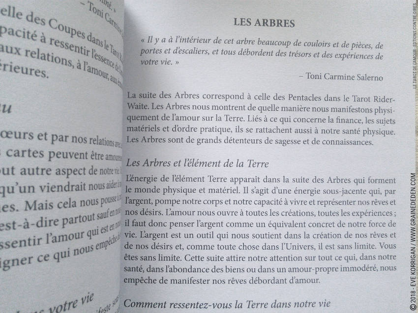 Le Tarot de l'Amour - Denise Jarvie Toni Carmine Salerno - Graine d'Eden