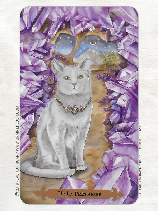 Le Tarot des Chats Mystiques de Lunaea Weatherstone et Mickie Mueller Review - Graine d'Eden Développement personnel, spiritualité, tarots et oracles divinatoires, Bibliothèques des Oracles, avis, présentation, review tarot oracle , revue tarot oracle