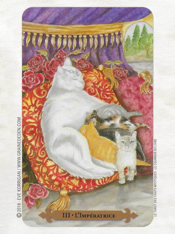 Le Tarot des Chats Mystiques de Lunaea Weatherstone et Mickie Mueller Review - Graine d'Eden Développement personnel, spiritualité, tarots et oracles divinatoires, Bibliothèques des Oracles, avis, présentation, review tarot oracle , revue tarot oracle