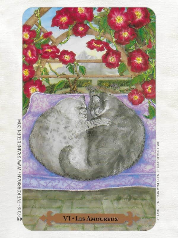 Le Tarot des Chats Mystiques de Lunaea Weatherstone et Mickie Mueller Review - Graine d'Eden Développement personnel, spiritualité, tarots et oracles divinatoires, Bibliothèques des Oracles, avis, présentation, review tarot oracle , revue tarot oracle