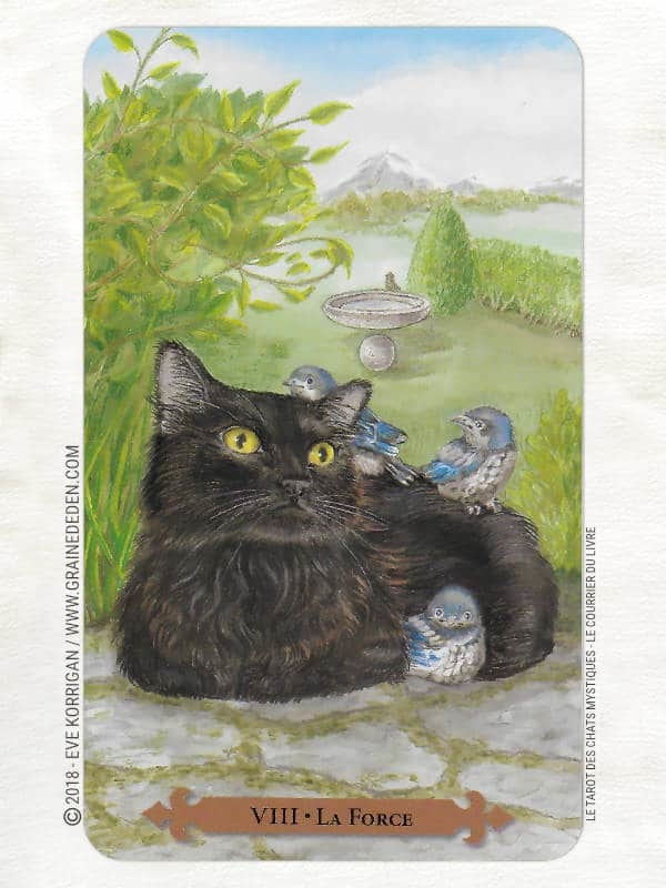 Le Tarot des Chats Mystiques de Lunaea Weatherstone et Mickie Mueller Review - Graine d'Eden Développement personnel, spiritualité, tarots et oracles divinatoires, Bibliothèques des Oracles, avis, présentation, review tarot oracle , revue tarot oracle