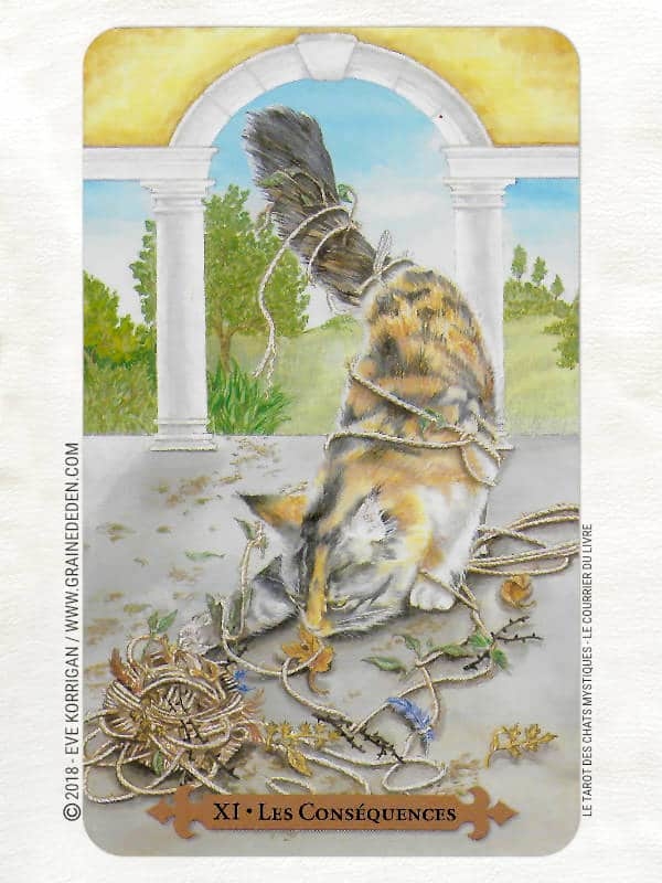 Le Tarot des Chats Mystiques de Lunaea Weatherstone et Mickie Mueller Review - Graine d'Eden Développement personnel, spiritualité, tarots et oracles divinatoires, Bibliothèques des Oracles, avis, présentation, review tarot oracle , revue tarot oracle