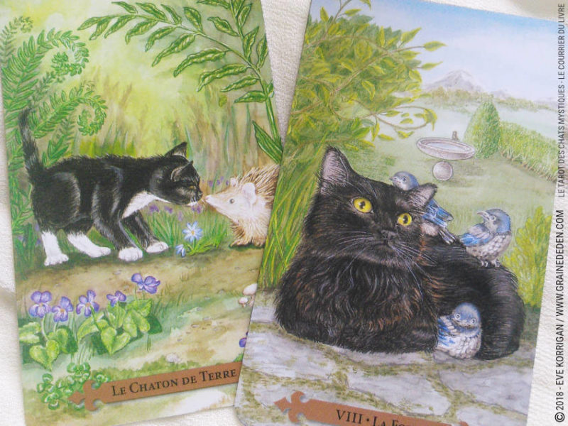 Le Tarot des Chats Mystiques de Lunaea Weatherstone et Mickie Mueller Review - Graine d'Eden Développement personnel, spiritualité, tarots et oracles divinatoires, Bibliothèques des Oracles, avis, présentation, review tarot oracle , revue tarot oracle