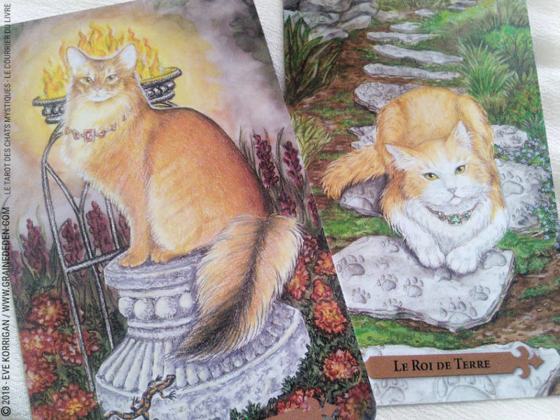 Le Tarot des Chats Mystiques de Lunaea Weatherstone et Mickie Mueller Review - Graine d'Eden Développement personnel, spiritualité, tarots et oracles divinatoires, Bibliothèques des Oracles, avis, présentation, review tarot oracle , revue tarot oracle