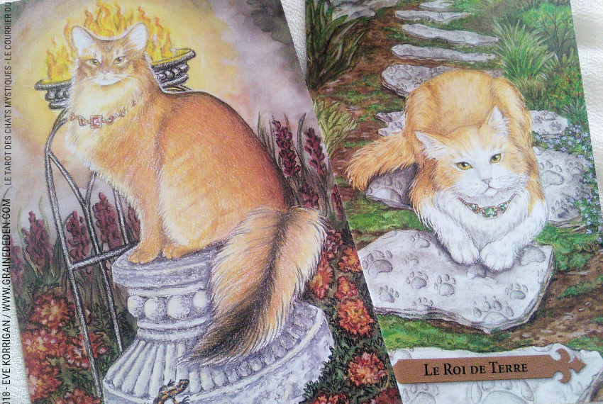 Le Tarot des Chats Mystiques de Lunaea Weatherstone et Mickie Mueller Review - Graine d'Eden Développement personnel, spiritualité, tarots et oracles divinatoires, Bibliothèques des Oracles, avis, présentation, review tarot oracle , revue tarot oracle