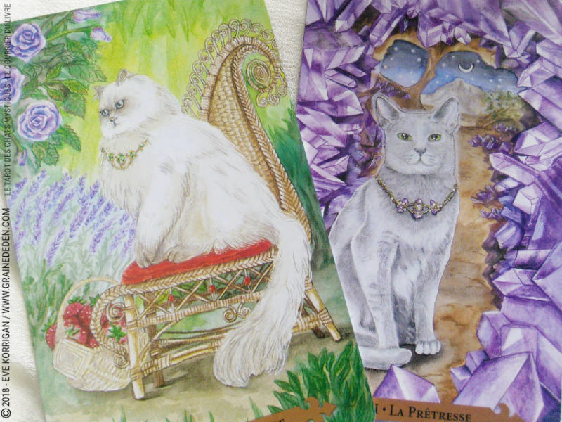 Le Tarot des Chats Mystiques de Lunaea Weatherstone et Mickie Mueller Review - Graine d'Eden Développement personnel, spiritualité, tarots et oracles divinatoires, Bibliothèques des Oracles, avis, présentation, review tarot oracle , revue tarot oracle