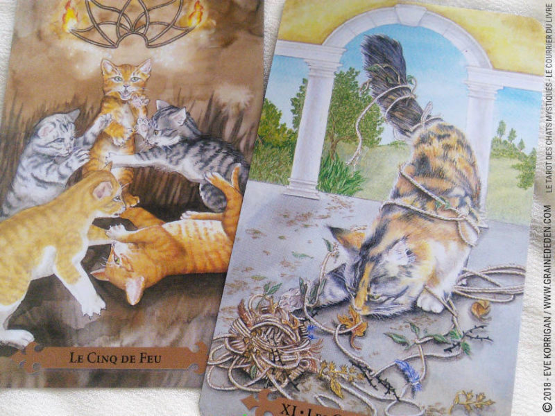 Le Tarot des Chats Mystiques de Lunaea Weatherstone et Mickie Mueller Review - Graine d'Eden Développement personnel, spiritualité, tarots et oracles divinatoires, Bibliothèques des Oracles, avis, présentation, review tarot oracle , revue tarot oracle