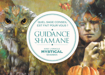 Guidance Shamane : Quel est votre message de sagesse ? Votre guidance avec Mystical Shaman Oracle deck - Graine d'Eden Développement personnel, spiritualité, tarots et oracles divinatoires, Bibliothèques des Oracles, avis, présentation, review tarot oracle , revue tarot oracle