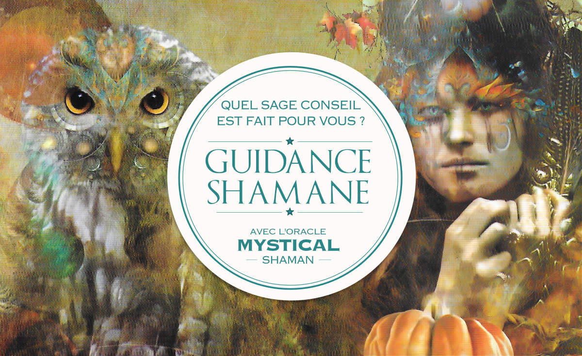 Guidance Shamane : Quel est votre message de sagesse ? Votre guidance avec Mystical Shaman Oracle deck - Graine d'Eden Développement personnel, spiritualité, tarots et oracles divinatoires, Bibliothèques des Oracles, avis, présentation, review tarot oracle , revue tarot oracle