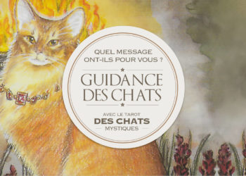 Guidance des Chats : Quel est votre message ? Votre guidance avec le Tarot des Chats Mystiques - Graine d'Eden Développement personnel, spiritualité, tarots et oracles divinatoires, Bibliothèques des Oracles, avis, présentation, review tarot oracle , revue tarot oracle