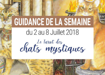 2 au 8 Juillet 2018 - Votre guidance de la semaine avec Le Tarot des Chats Mystiques - Graine d'Eden Développement personnel, spiritualité, tarots et oracles divinatoires, Bibliothèques des Oracles, avis, présentation, review tarot oracle , revue tarot oracle