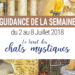 2 au 8 Juillet 2018 - Votre guidance de la semaine avec Le Tarot des Chats Mystiques - Graine d'Eden Développement personnel, spiritualité, tarots et oracles divinatoires, Bibliothèques des Oracles, avis, présentation, review tarot oracle , revue tarot oracle