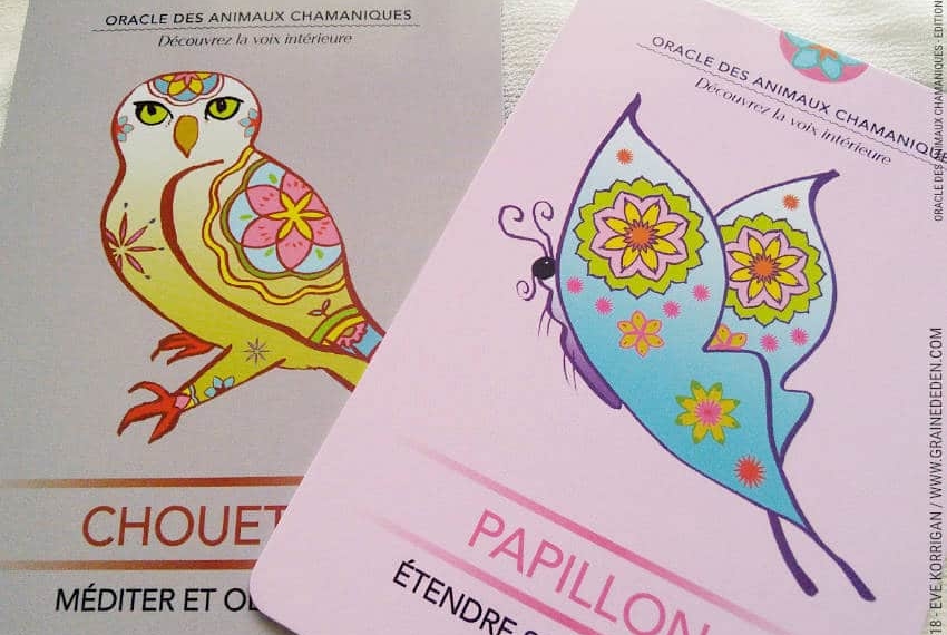 Oracle des Animaux Chamaniques de Nathalie Bodin Lamboy Review - Graine d'Eden Développement personnel, spiritualité, tarots et oracles divinatoires, Bibliothèques des Oracles, avis, présentation, review tarot oracle , revue tarot oracle