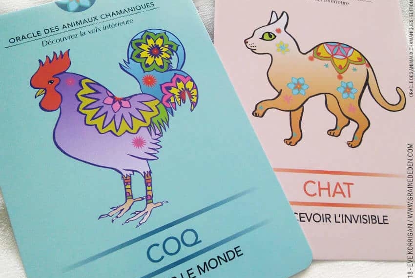 Oracle des Animaux Chamaniques de Nathalie Bodin Lamboy Review - Graine d'Eden Développement personnel, spiritualité, tarots et oracles divinatoires, Bibliothèques des Oracles, avis, présentation, review tarot oracle , revue tarot oracle