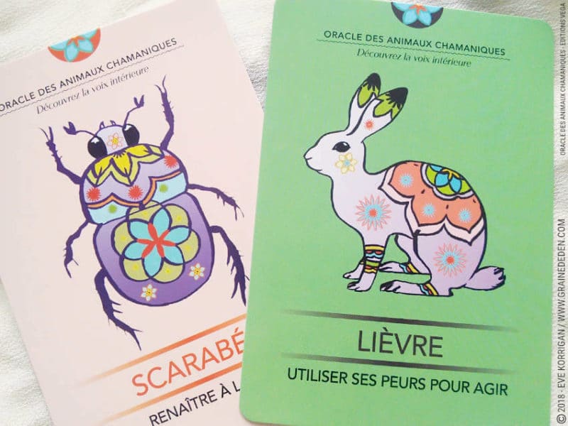 Oracle des Animaux Chamaniques de Nathalie Bodin Lamboy Review - Graine d'Eden Développement personnel, spiritualité, tarots et oracles divinatoires, Bibliothèques des Oracles, avis, présentation, review tarot oracle , revue tarot oracle