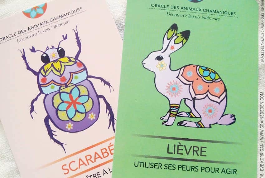 Oracle des Animaux Chamaniques de Nathalie Bodin Lamboy Review - Graine d'Eden Développement personnel, spiritualité, tarots et oracles divinatoires, Bibliothèques des Oracles, avis, présentation, review tarot oracle , revue tarot oracle