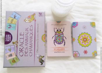 Oracle des Animaux Chamaniques de Nathalie Bodin Lamboy Review - Graine d'Eden Développement personnel, spiritualité, tarots et oracles divinatoires, Bibliothèques des Oracles, avis, présentation, review tarot oracle , revue tarot oracle