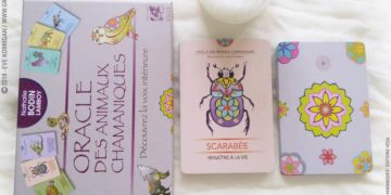 Oracle des Animaux Chamaniques de Nathalie Bodin Lamboy Review - Graine d'Eden Développement personnel, spiritualité, tarots et oracles divinatoires, Bibliothèques des Oracles, avis, présentation, review tarot oracle , revue tarot oracle