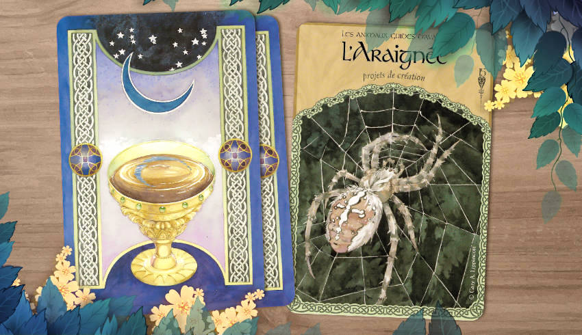 30 Juillet au 5 Août 2018 - Votre guidance de la semaine avec les Cartes La Sagesse d'Avalon - Graine d'Eden Développement personnel, spiritualité, tarots et oracles divinatoires, Bibliothèques des Oracles, avis, présentation, review tarot oracle , revue tarot oracle