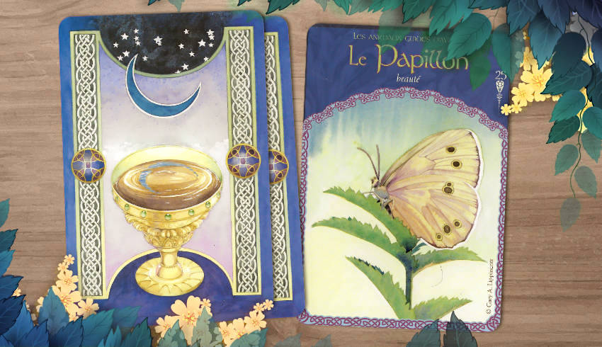 30 Juillet au 5 Août 2018 - Votre guidance de la semaine avec les Cartes La Sagesse d'Avalon - Graine d'Eden Développement personnel, spiritualité, tarots et oracles divinatoires, Bibliothèques des Oracles, avis, présentation, review tarot oracle , revue tarot oracle