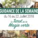 16 au 22 juillet 2018 - Votre guidance de la semaine avec Le Tarot de La Magie Verte de Ann Moura - Graine d'Eden Développement personnel, spiritualité, tarots et oracles divinatoires, Bibliothèques des Oracles, avis, présentation, review tarot oracle , revue tarot oracle