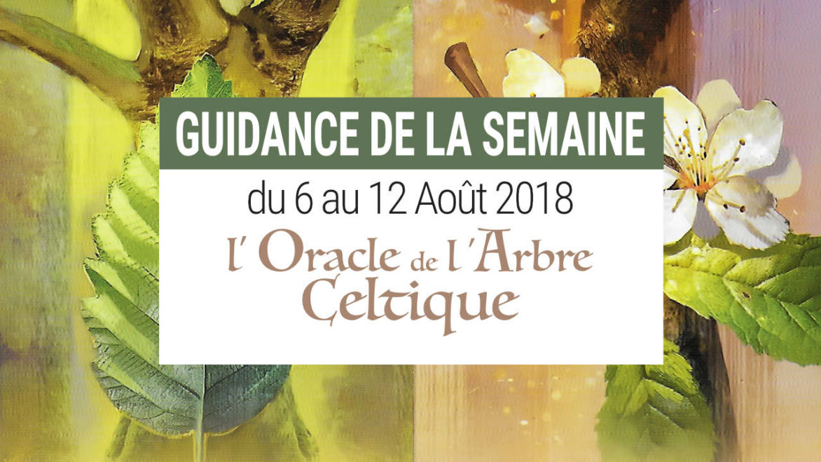 6 au 12 Août 2018 - Votre guidance de la semaine avec L'Oracle de l'Arbre Celtique - Graine d'Eden Développement personnel, spiritualité, tarots et oracles divinatoires, Bibliothèques des Oracles, avis, présentation, review tarot oracle , revue tarot oracle