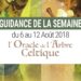 6 au 12 Août 2018 - Votre guidance de la semaine avec L'Oracle de l'Arbre Celtique - Graine d'Eden Développement personnel, spiritualité, tarots et oracles divinatoires, Bibliothèques des Oracles, avis, présentation, review tarot oracle , revue tarot oracle