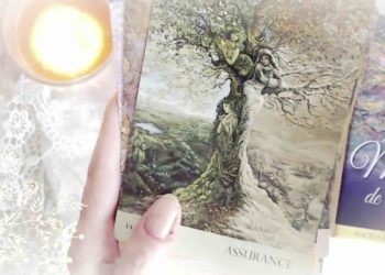 28 Août 2018 - Votre guidance du jour avec les Cartes Murmures de la Nature - Graine d'Eden Développement personnel, spiritualité, tarots et oracles divinatoires, Bibliothèques des Oracles, avis, présentation, review tarot oracle , revue tarot oracle