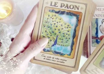 5 Septembre 2018 - Votre guidance du jour avec Messages de votre Animal Totem de Steven D. Farmer - Graine d'Eden Développement personnel, spiritualité, tarots et oracles divinatoires, Bibliothèques des Oracles, avis, présentation, review tarot oracle , revue tarot oracle