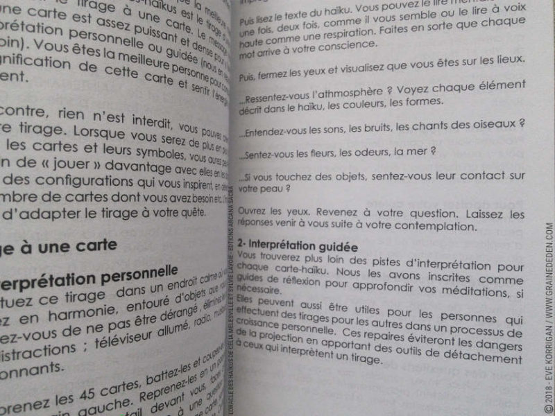 L'Oracle des Haïkus de Célia Melesville et Sylvie Lavoie Review Présentation Avis - Graine d'Eden Développement personnel, spiritualité, tarots et oracles divinatoires, Bibliothèques des Oracles, avis, présentation, review tarot oracle , revue tarot oracle