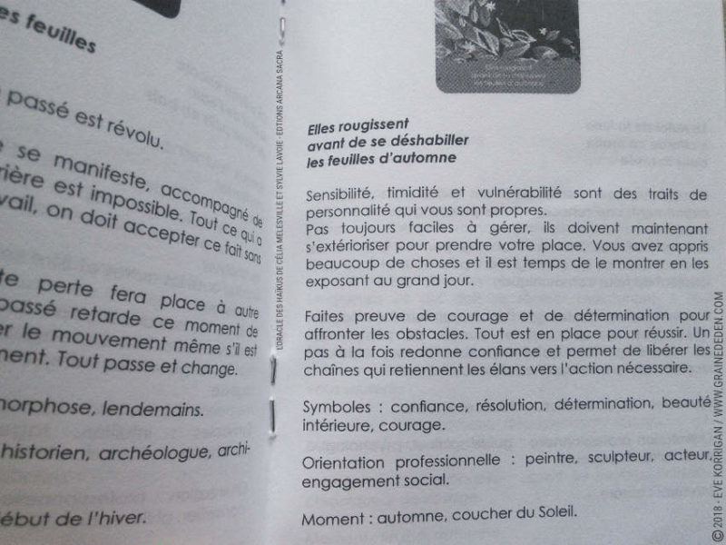 L'Oracle des Haïkus de Célia Melesville et Sylvie Lavoie Review Présentation Avis - Graine d'Eden Développement personnel, spiritualité, tarots et oracles divinatoires, Bibliothèques des Oracles, avis, présentation, review tarot oracle , revue tarot oracle