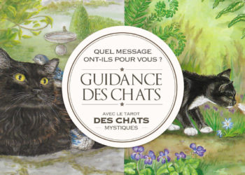 Messages des Chats : Quelle est votre guidance ? avec le Tarot des Chats Mystiques - Graine d'Eden Développement personnel, spiritualité, tarots et oracles divinatoires, Bibliothèques des Oracles, avis, présentation, review tarot oracle , revue tarot oracle