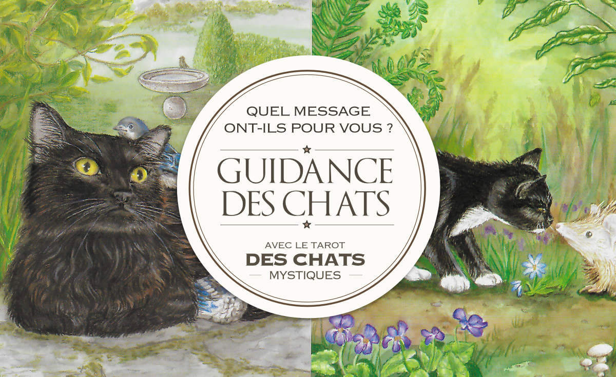 Messages des Chats : Quelle est votre guidance ? avec le Tarot des Chats Mystiques - Graine d'Eden Développement personnel, spiritualité, tarots et oracles divinatoires, Bibliothèques des Oracles, avis, présentation, review tarot oracle , revue tarot oracle