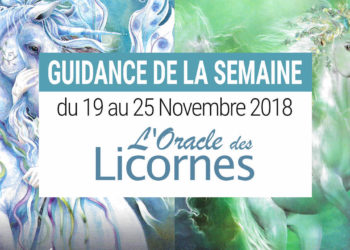 19 au 25 Novembre - Votre guidance de la semaine avec L'Oracle des Licornes de Cordelia Francesca Brabbs - Graine d'Eden Développement personnel, spiritualité, tarots et oracles divinatoires, Bibliothèques des Oracles, avis, présentation, review tarot oracle , revue tarot oracle