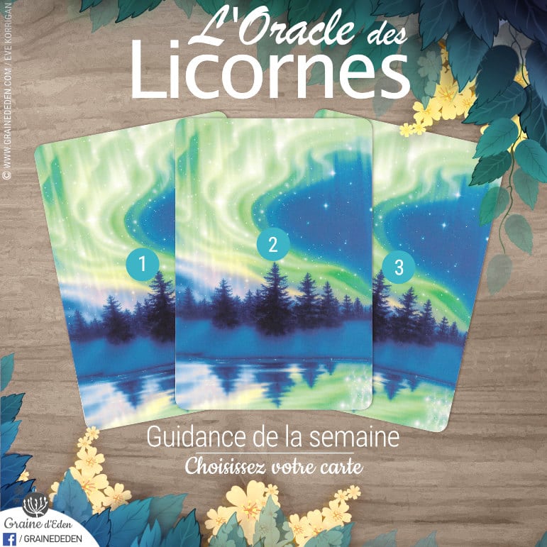 19 au 25 Novembre - Votre guidance de la semaine avec L'Oracle des Licornes de Cordelia Francesca Brabbs - Graine d'Eden Développement personnel, spiritualité, tarots et oracles divinatoires, Bibliothèques des Oracles, avis, présentation, review tarot oracle , revue tarot oracle