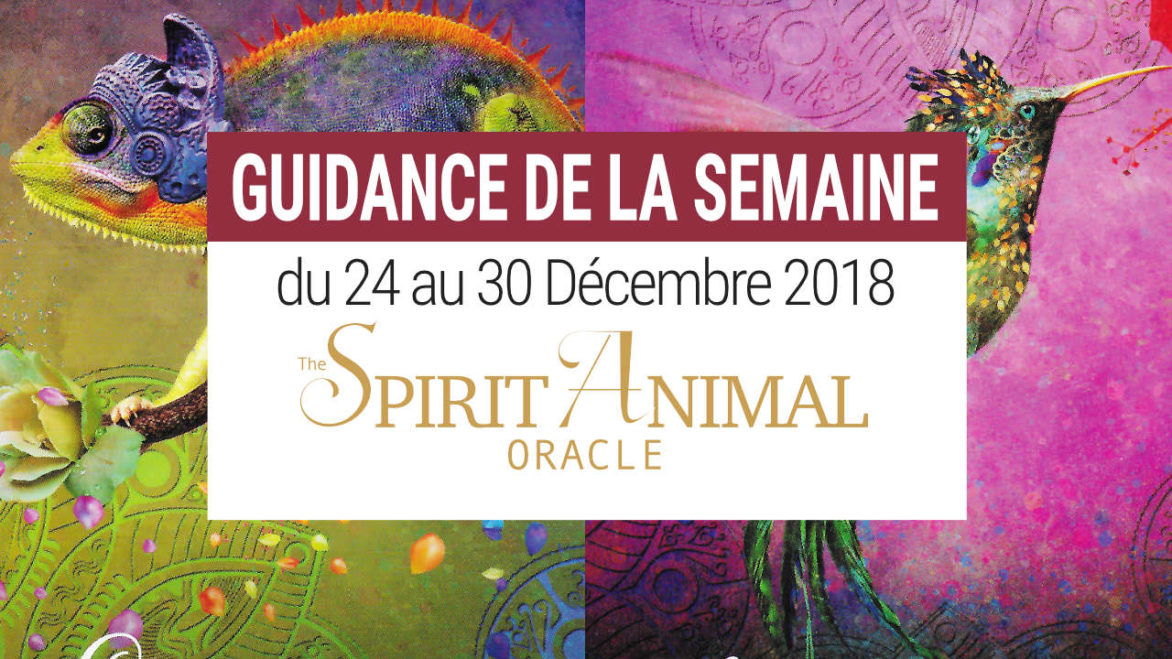 24 au 30 décembre 2018 - Votre guidance de la semaine avec The Spirit Animal Oracle de Colette Baron-Reid et Jena DellaGrottaglia - Graine d'Eden Développement personnel, spiritualité, tarots et oracles divinatoires, Bibliothèques des Oracles, avis, présentation, review tarot oracle , revue tarot oracle