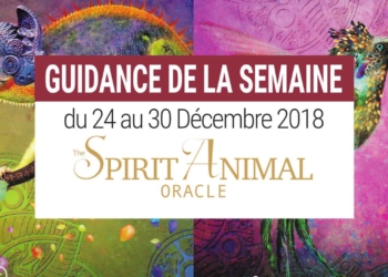 24 au 30 décembre 2018 - Votre guidance de la semaine avec The Spirit Animal Oracle de Colette Baron-Reid et Jena DellaGrottaglia - Graine d'Eden Développement personnel, spiritualité, tarots et oracles divinatoires, Bibliothèques des Oracles, avis, présentation, review tarot oracle , revue tarot oracle