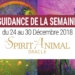 24 au 30 décembre 2018 - Votre guidance de la semaine avec The Spirit Animal Oracle de Colette Baron-Reid et Jena DellaGrottaglia - Graine d'Eden Développement personnel, spiritualité, tarots et oracles divinatoires, Bibliothèques des Oracles, avis, présentation, review tarot oracle , revue tarot oracle