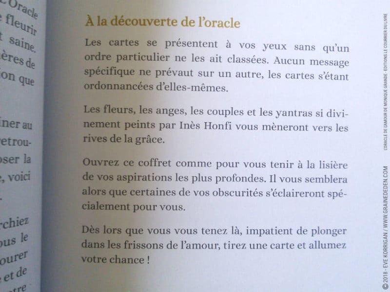 L'Oracle de l'Amour de Monique Grande et Ines Honfi Review - Graine d'Eden Développement personnel, spiritualité, tarots et oracles divinatoires, Bibliothèques des Oracles, avis, présentation, review tarot oracle , revue tarot oracle