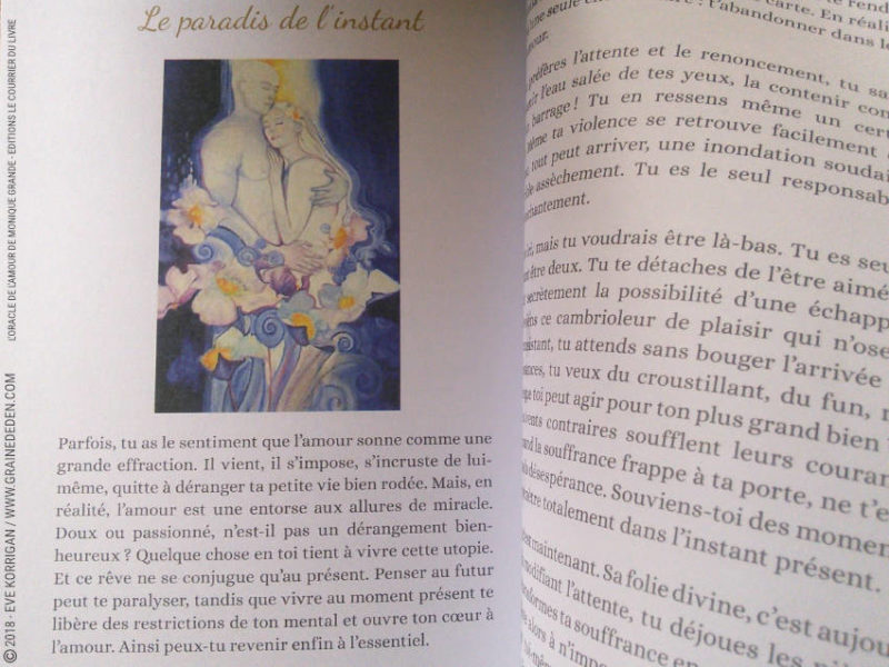 L'Oracle de l'Amour de Monique Grande et Ines Honfi Review - Graine d'Eden Développement personnel, spiritualité, tarots et oracles divinatoires, Bibliothèques des Oracles, avis, présentation, review tarot oracle , revue tarot oracle