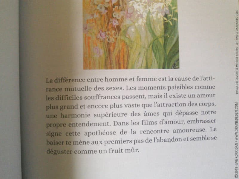 L'Oracle de l'Amour de Monique Grande et Ines Honfi Review - Graine d'Eden Développement personnel, spiritualité, tarots et oracles divinatoires, Bibliothèques des Oracles, avis, présentation, review tarot oracle , revue tarot oracle