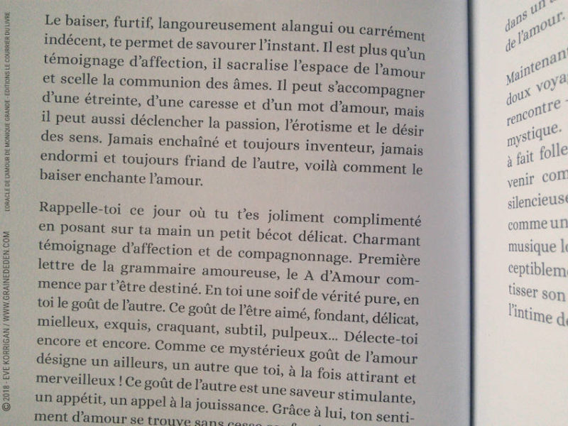 L'Oracle de l'Amour de Monique Grande et Ines Honfi Review - Graine d'Eden Développement personnel, spiritualité, tarots et oracles divinatoires, Bibliothèques des Oracles, avis, présentation, review tarot oracle , revue tarot oracle